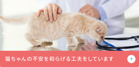 猫にやさしい動物病院