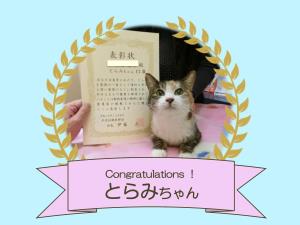 とらみちゃん