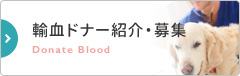 輸血donor紹介・募集